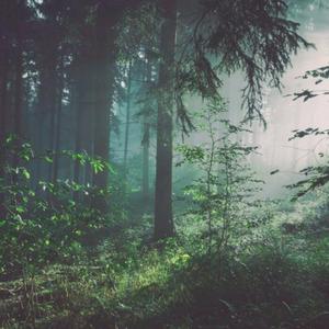 玉茎初试两贵妇
